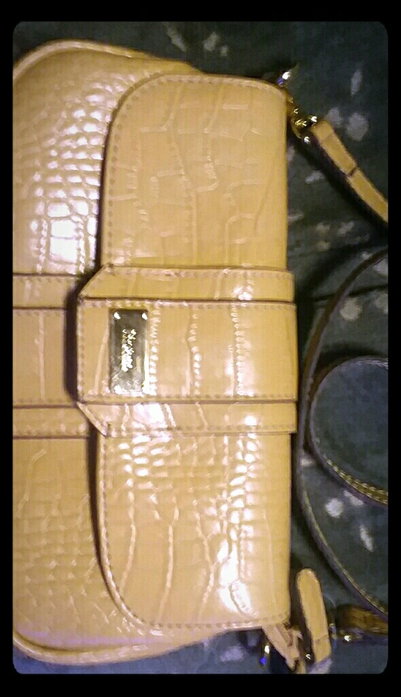 Liz co mini purse